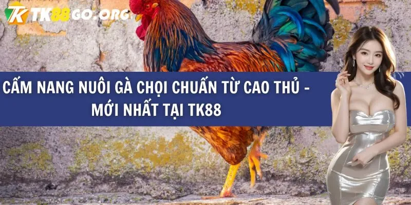 Máy đánh bạc xếp hạng 868Vip, máy đánh bạc di động #1 - 868Vip