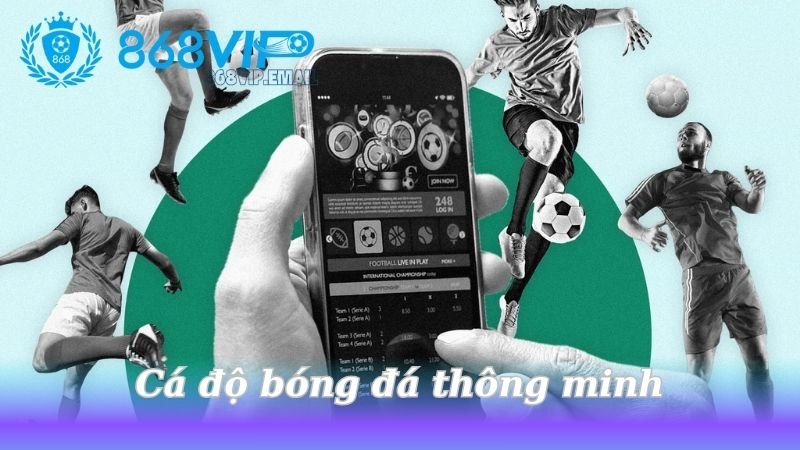 ca-do-bong-da-thong-minh