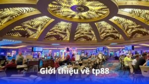 gioi-thieu-ve-tp88
