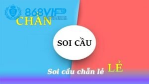 soi-cau-chan-le