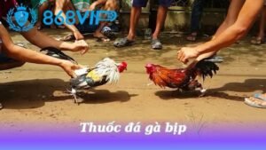 thuoc-da-ga-bip
