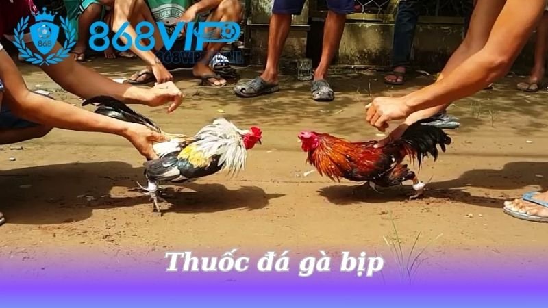 thuoc-da-ga-bip