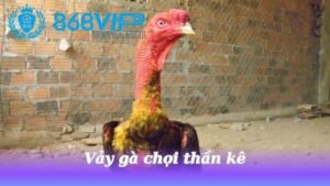 vay-ga-choi-than-ke