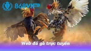 web-da-ga-truc-tuyen