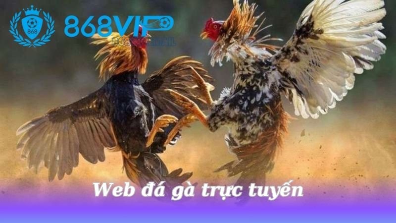 web-da-ga-truc-tuyen